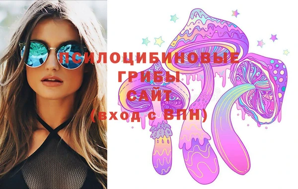 Альфа ПВП Аркадак