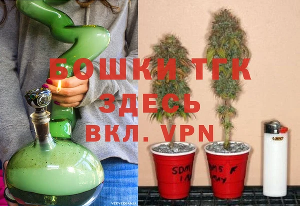 Альфа ПВП Аркадак