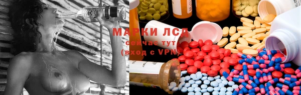 Альфа ПВП Аркадак