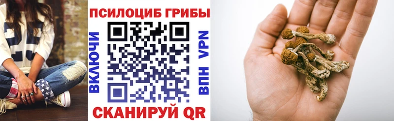 купить наркотики сайты  Поронайск  Галлюциногенные грибы Psilocybine cubensis 
