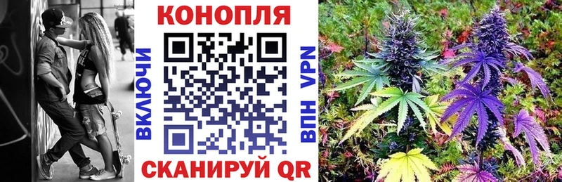 Бошки Шишки план Поронайск
